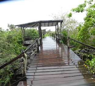 Wege durch die Anlage