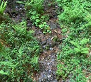 Griesbacher Wasserfälle Bad Griesbach