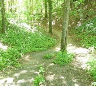 Trampelpfad hinunter