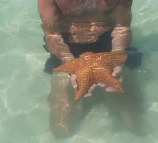 Piscina natural mit Seesternen