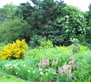 St. James´s Park Impressionen