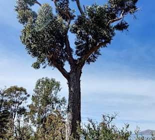 Wandern Isla del Sol