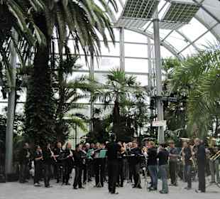 Sonntagkonzert im Palmenhaus