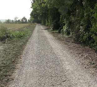 Wanderung zur Burgruine Liebenau