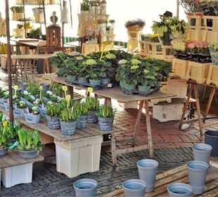 Rundgang über den Emder Wochenmarkt