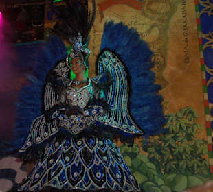 Sama-Show Plataforma