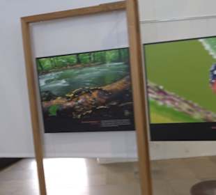 Museum für Ur- und Frühgeschichte