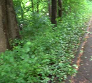 Bastion 5 mit dem Kriegsspital