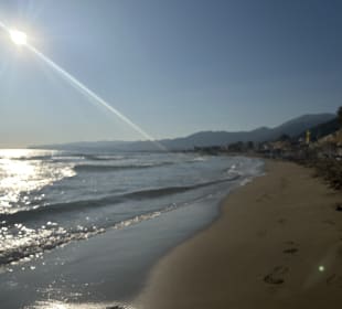 Strand Stalis