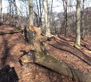 Wandertour Eppenzill