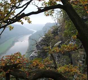 Elbe