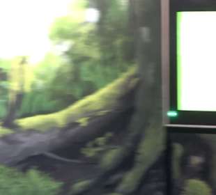 Naturparkzentrum Ruhestein