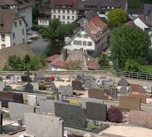 Bergfriedhof Bad Peterstal