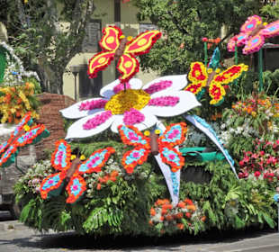 Umzugswagen des Blumenfestivals