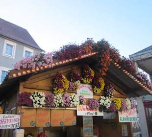 Chrysanthema Lahr