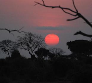 Sonnenaufgang Tsavo Ost