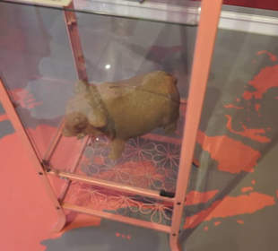 SchweineMuseum