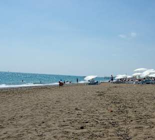 Strand