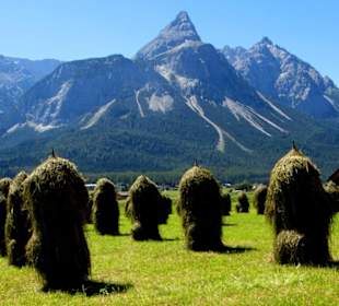 Wiesen vor Ehrwald mit "Heumandl"