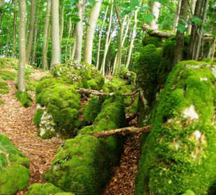 Hier schwer zu laufen