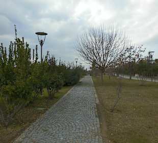 Die Begrünung und das Wasser fehlen