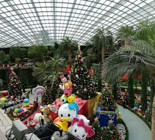 Gardens by the Bay