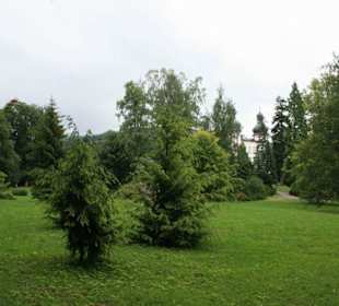 Im Schloßpark