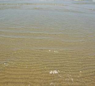 Strand von Bibione 06-2010