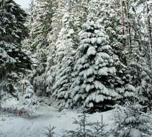 Unmittelbare Umgebung des Hotel