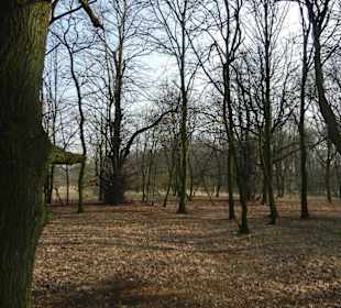 Wunderschöne Boberger Niederung