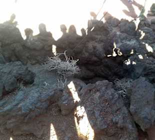 Nationalpark Timanfaya (Feuerberge) in Yaiza