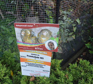 Zoo