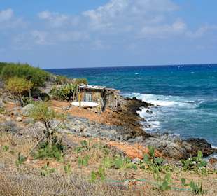 Ein paar Inspirationen von unserer Strandwanderung