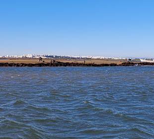 Bootstour Ria Formosa