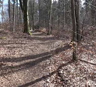 Bolberg Willmandingen