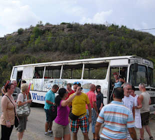 Unser Reisebus, der hat was!!!