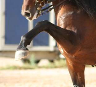 Trainingstag in der Real Escuela