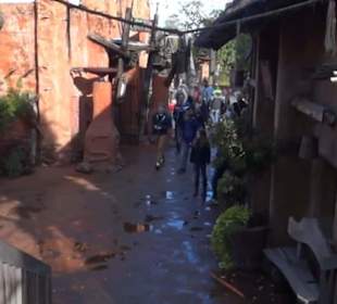 Deep in Africa - Black Mamba