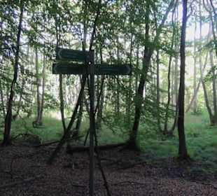 Nationalpark Jasmund