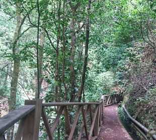 Weg zum Wasserfall