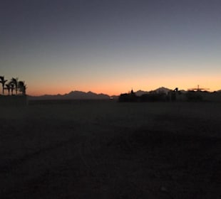 Megasafari, bei den Beduinen in der Wüste