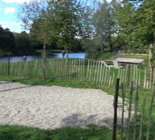 Schaukelweg an der Donau