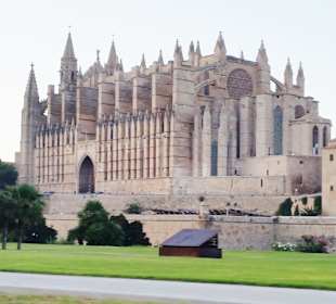 Palma