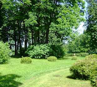 Zespół pałacowy Oranienbaum