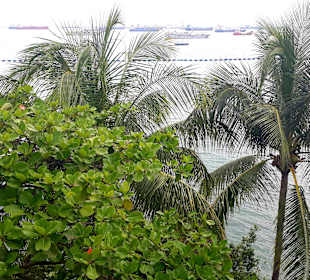 Ausblick Aussichtsturm