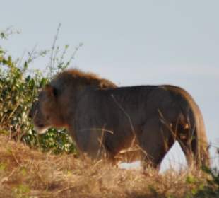 Tsavo East National Park 