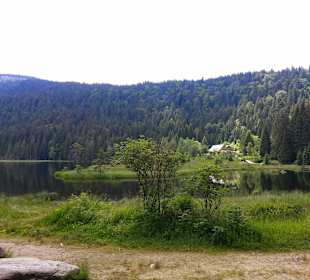 Arbersee