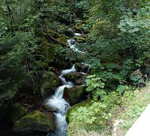 Wandern Bad Wildbad