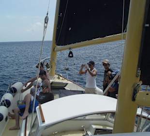 Tagestrip auf Island Cruises Segelyacht