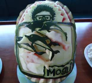 Melone mit Mogli´s Dolphin